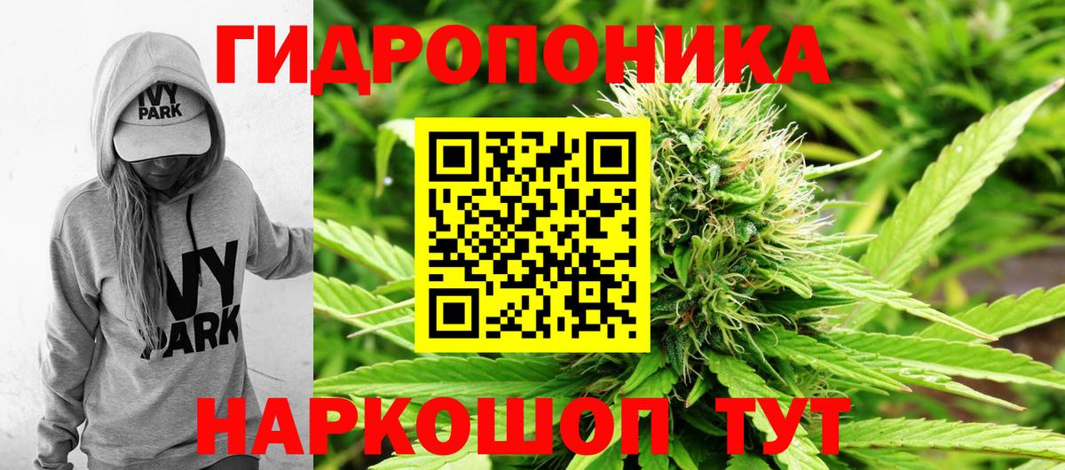 Санкт-Петербург  Конопля сатива  МАРИХУАНА Ganja  Вход с VPN 